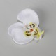 Saténový látkový kvet - biely